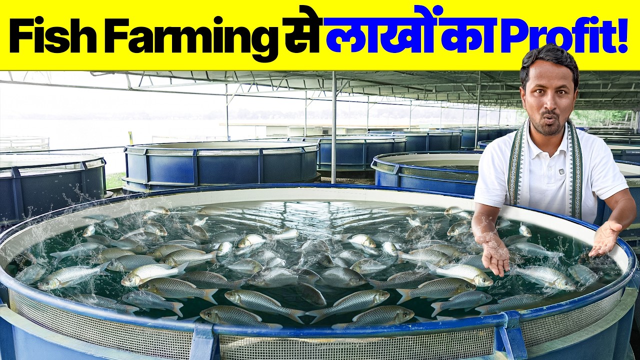 कैसे शुरू करें Biofloc Fish Farming? 🐟 ₹2 लाख से सालाना लाखों कमाएँ 💰 Indian Farmer