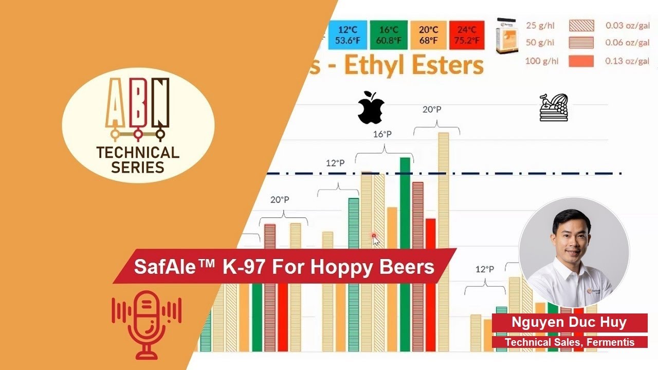 SafAle K 97 For Hoppy Beers
