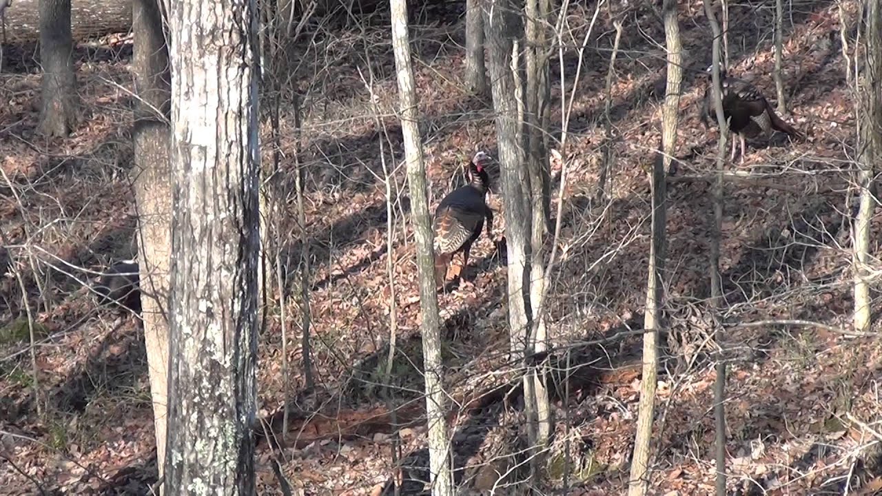 Southern Legends S1 E1 - Wounded Warrior Hunt