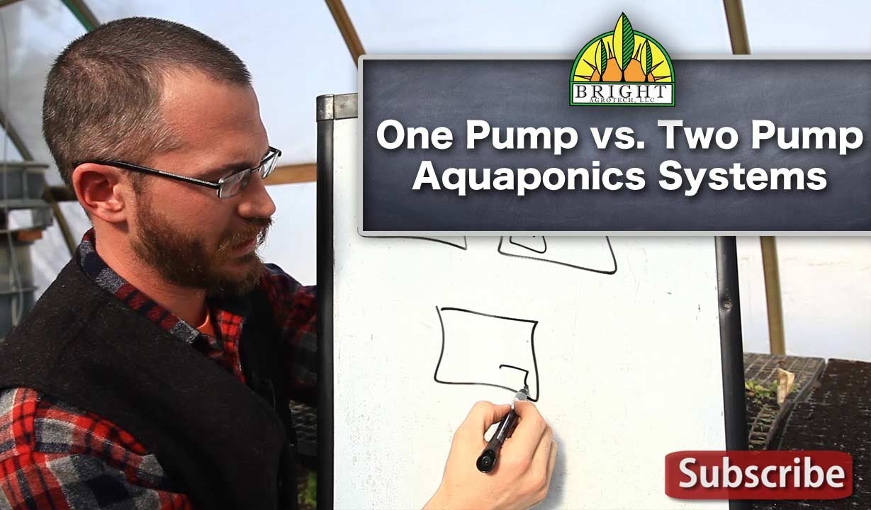One Pump vs. Two Pump Aquaponic Systems