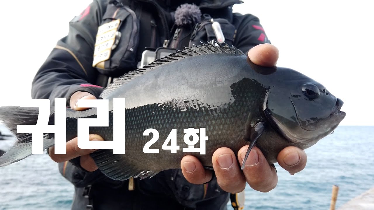 귀리 24회~자리덕~#129