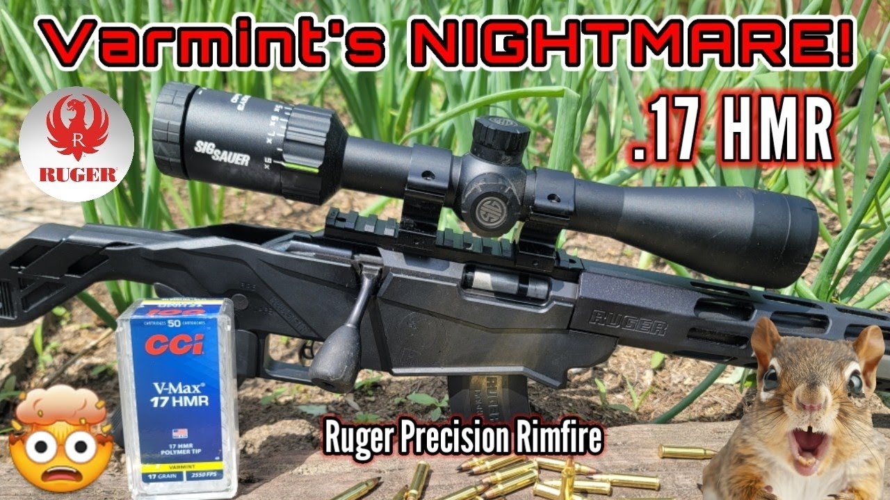 Ruger Precision Rimfire .17 HMR... Mind Blowing 🤯 On Small Game!