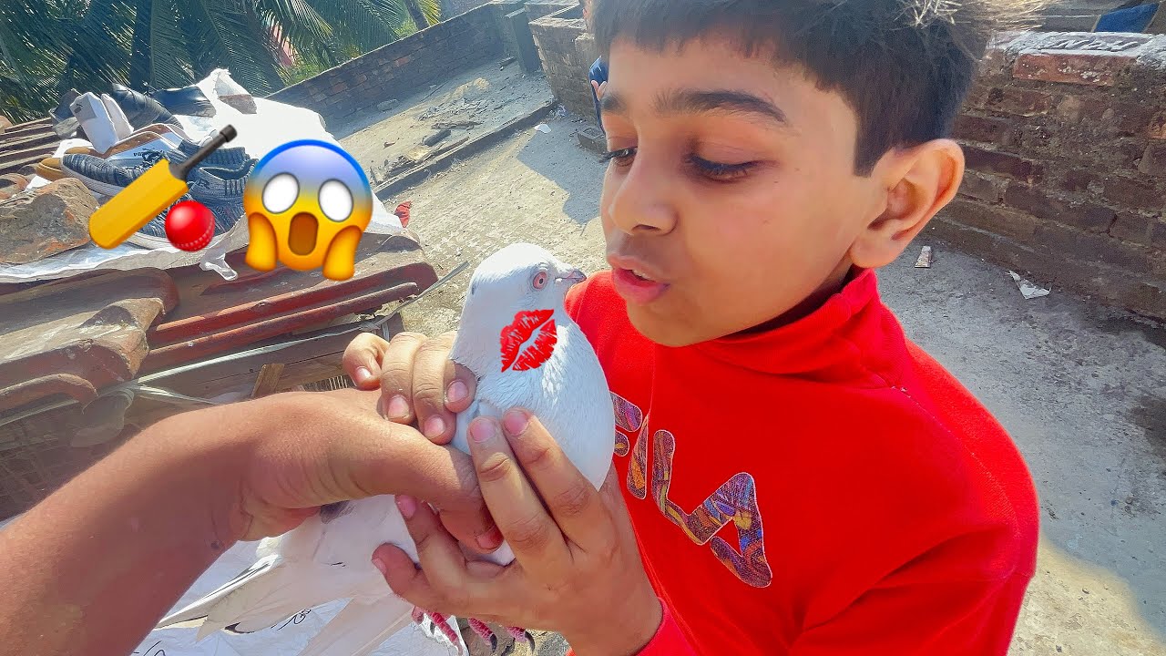ছাদে cricket খেললাম আমরা 🏏😱🤣|| 