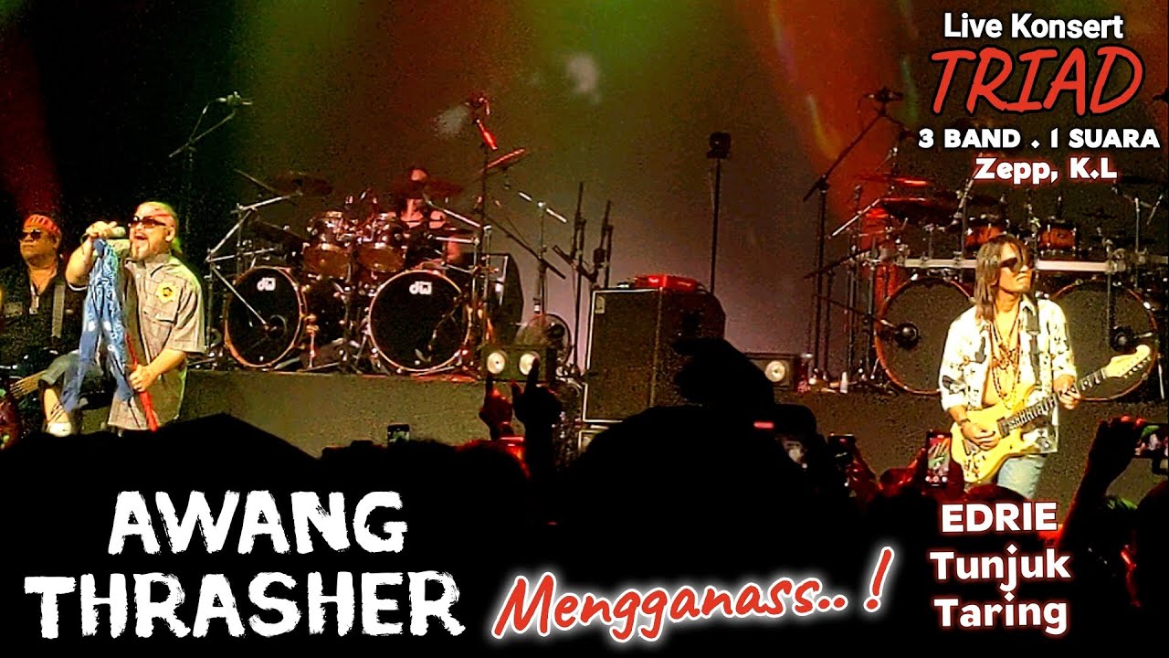 🔥AWANG THRASHER