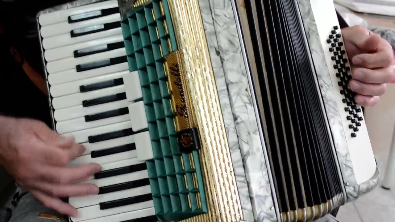 Vintage Italian Top Quality Accordion Scandalli 48 bass,3 sw.+Hard Case&Straps~Akkordeon,Fisarmonica
