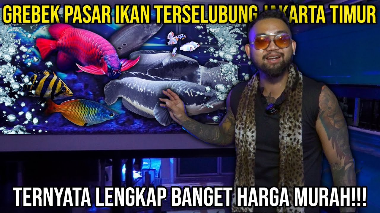 GREBEK PASAR IKAN TERSELUBUNG JAKARATA TIMUR TERNYATA LENGKAP BANGET HARGA MURAH