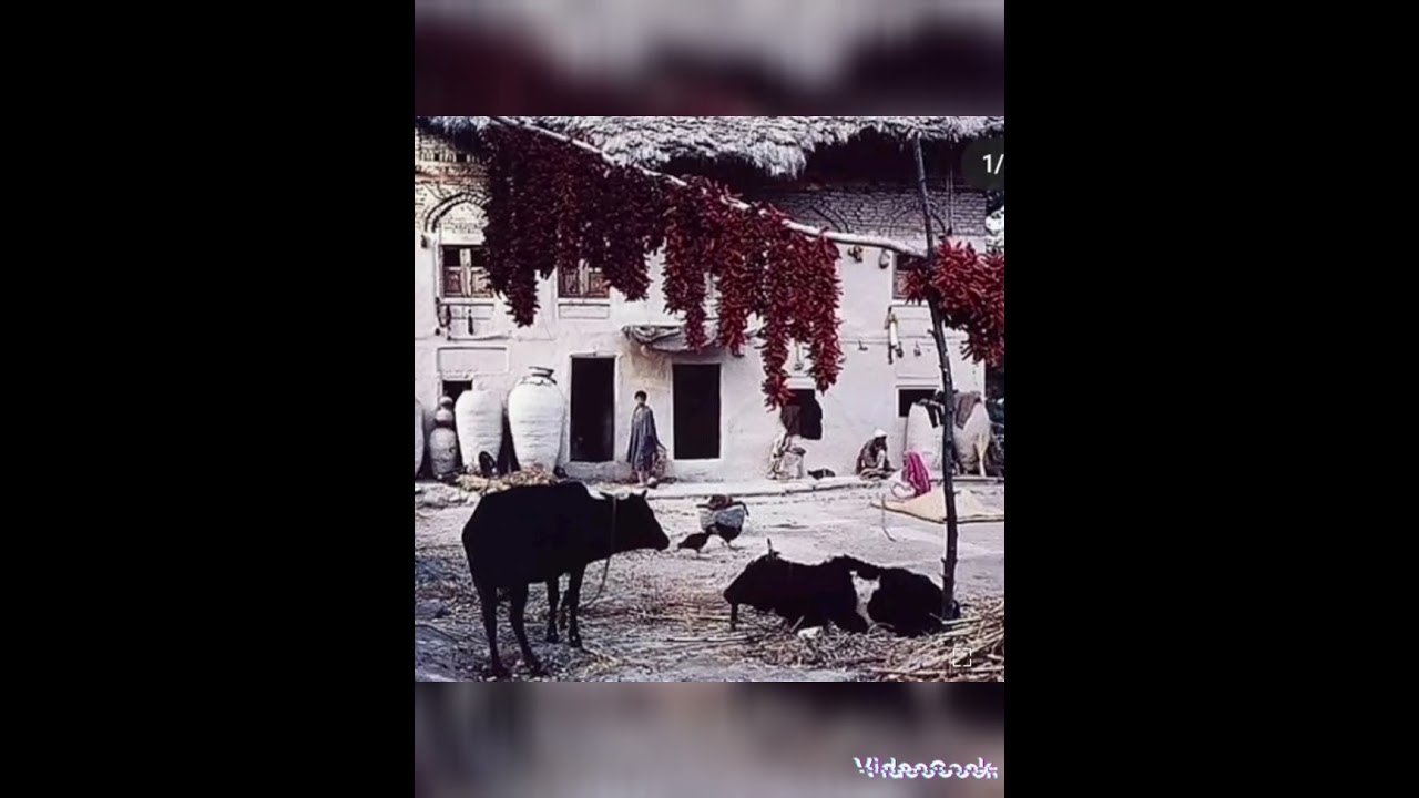 smart kashmir in old days