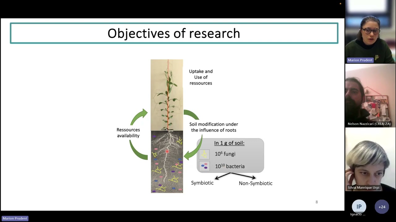 [ILSW-s2e02] Pea resilience to drought