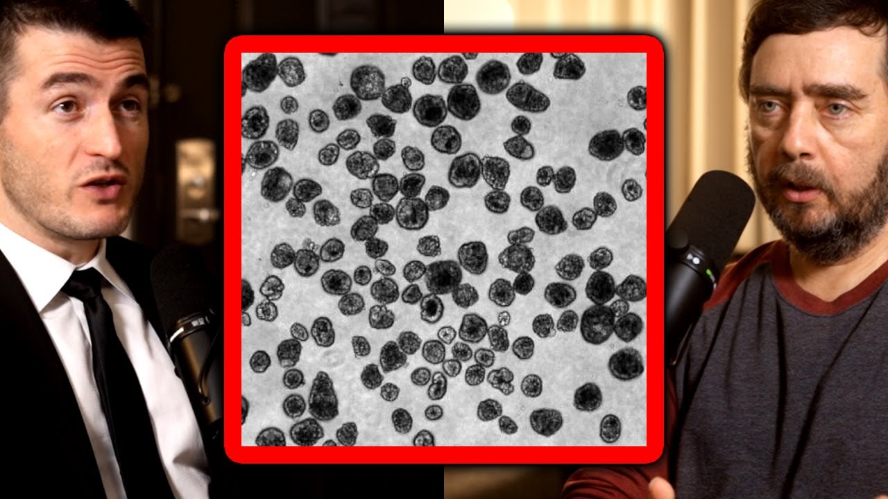 Creating life in the lab - Xenobots and Anthrobots | Michael Levin and Lex Fridman
