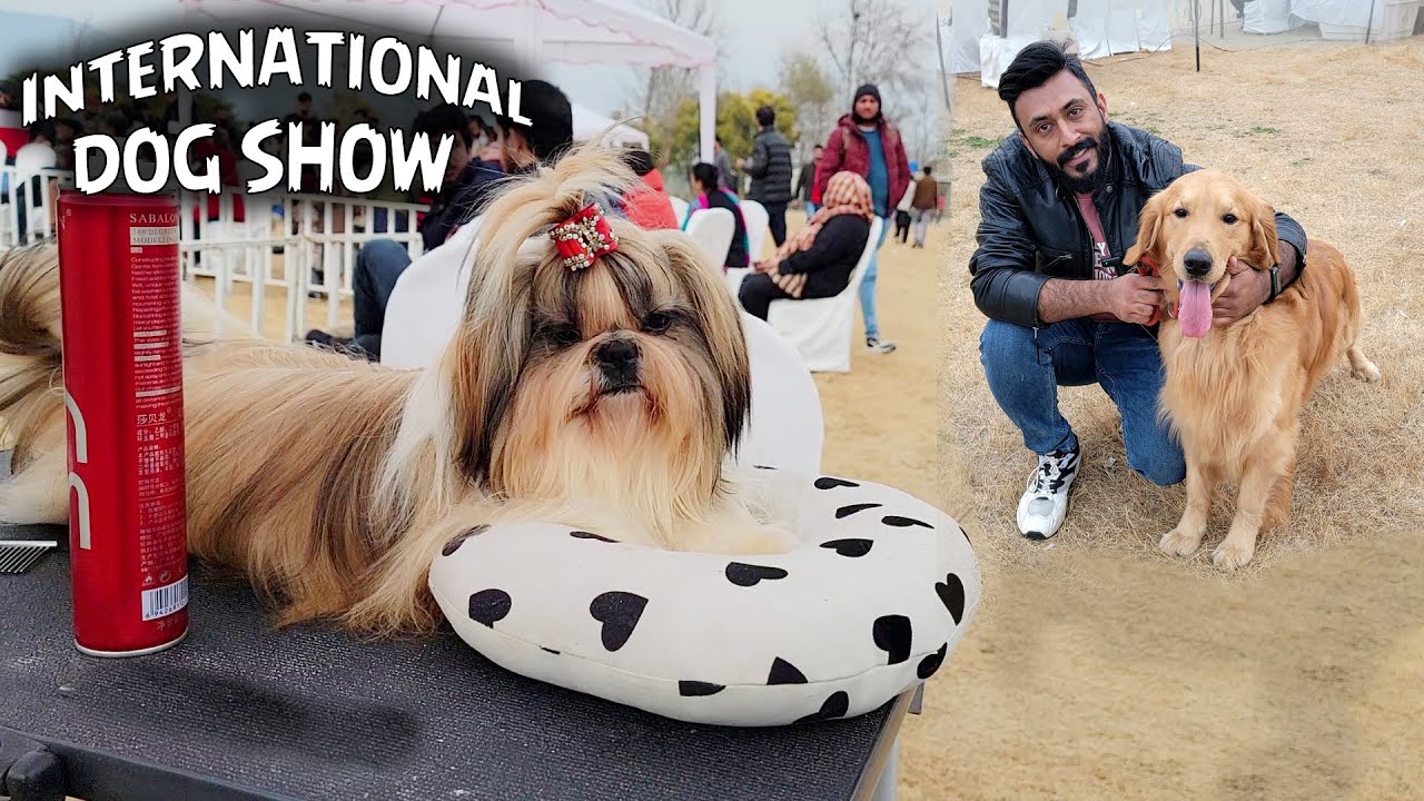 International Dog Show | Islamabad F-9 Park