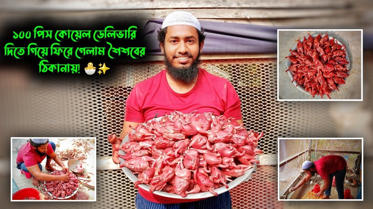 ১০০ পিস কোয়েল ডেলিভারি দিতে গিয়ে ফিরে গেলাম শৈশবের ঠিকানায়! 🐣✨