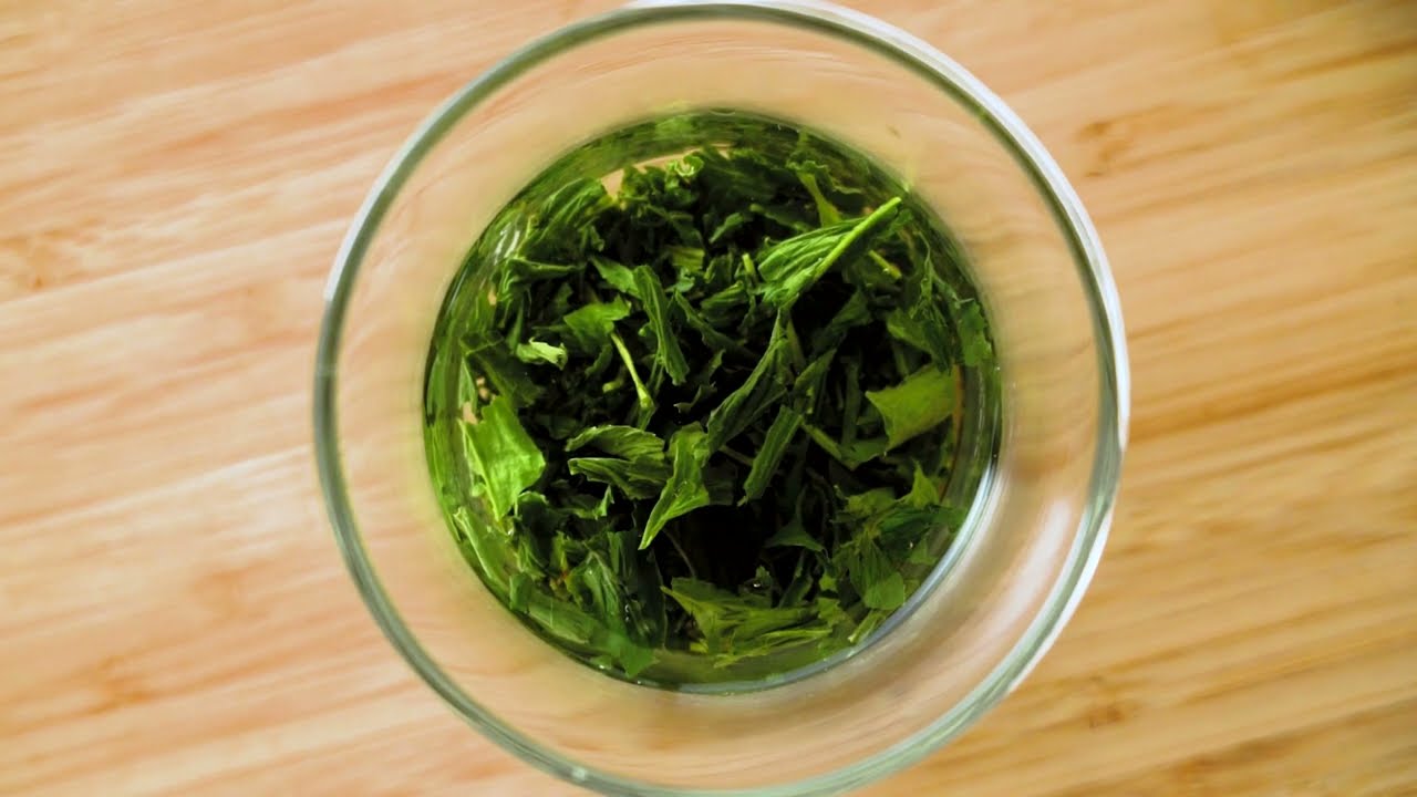 [How To Brew] Kooridashi Ice Brewed Gyokuro Shade-Grown Green Tea | Senbird Tea