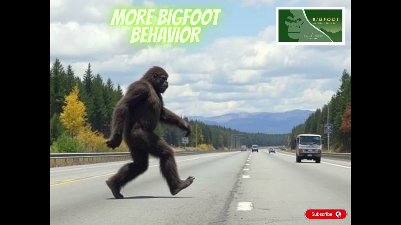 Is This Proof Bigfoot Is Real?