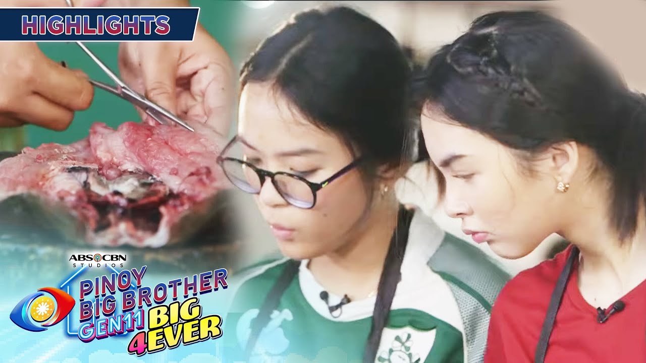 PBB Gen 11 Big 4Ever: Rain at Kai, nahirapan sa Fish Be With You task