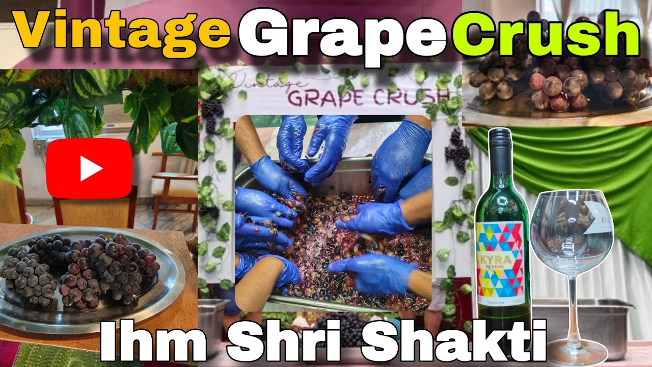 Vintage Grape Crush | Ihm Shri Shakti | Krish Baa YouTube | FEB - 20 