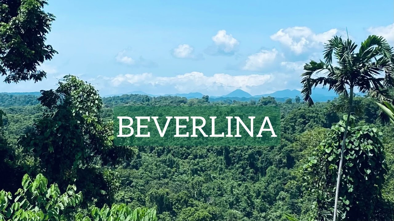 Beverlina (kula local music)