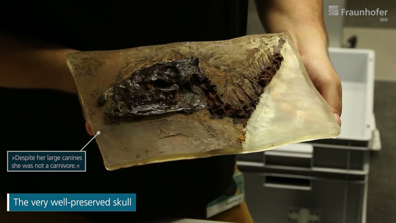 Prehistoric horse 2.0: Digitization of an ancient fossil