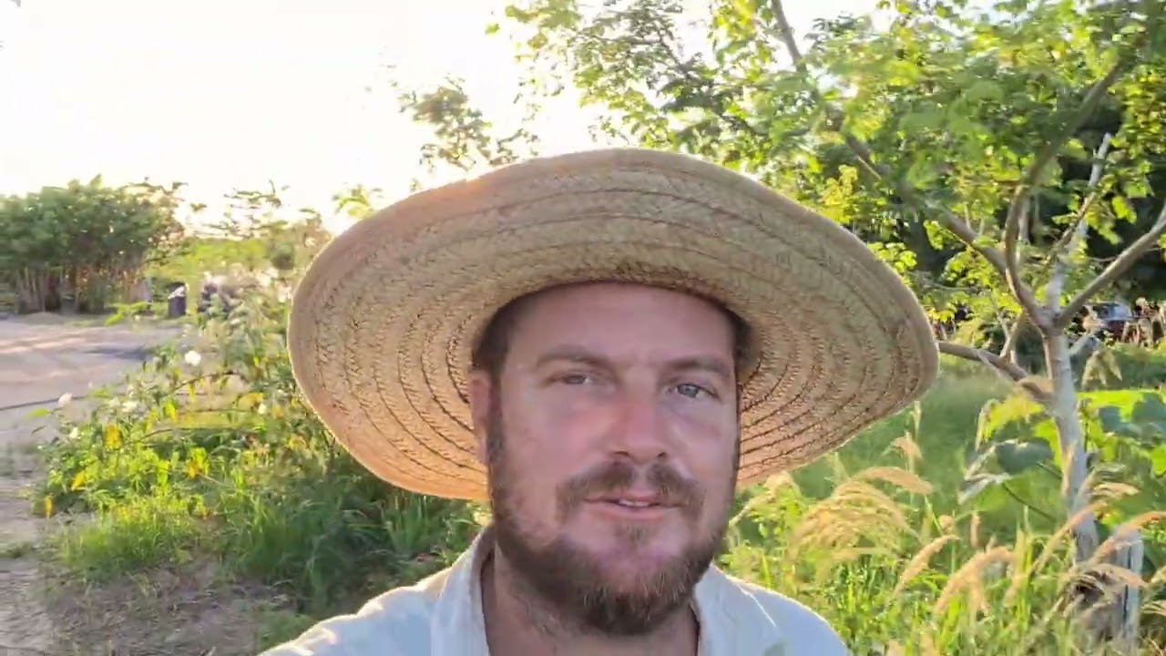 VEJA O MOTIVO PELO QUAL NÃO TÍNHAMOS MAS POSTADO VÍDEO 