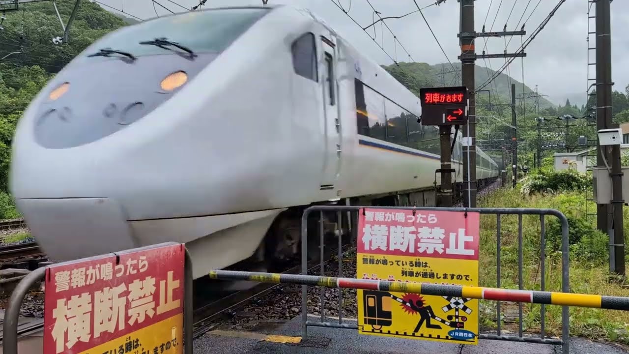 【列車大集合】特急電車～JR東日本・東海・西日本・九州～