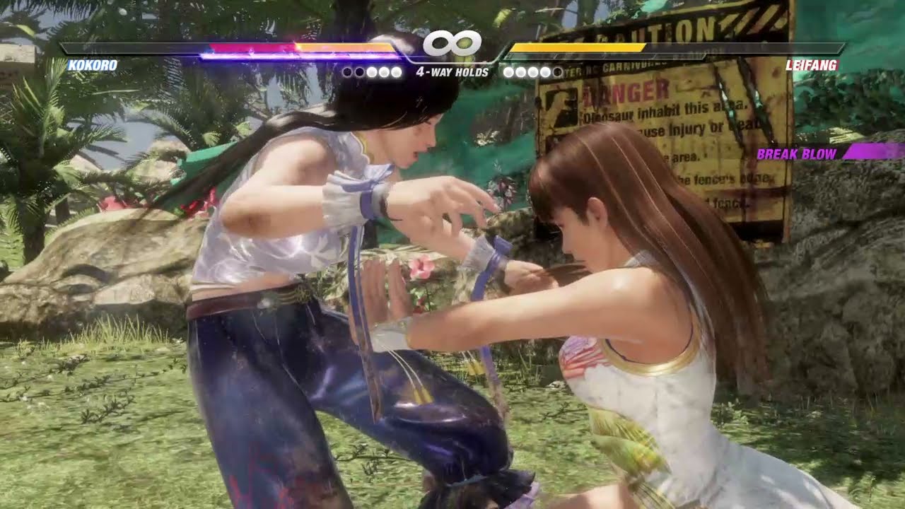 DEAD OR ALIVE 6 Kokoro vs Lei Fang