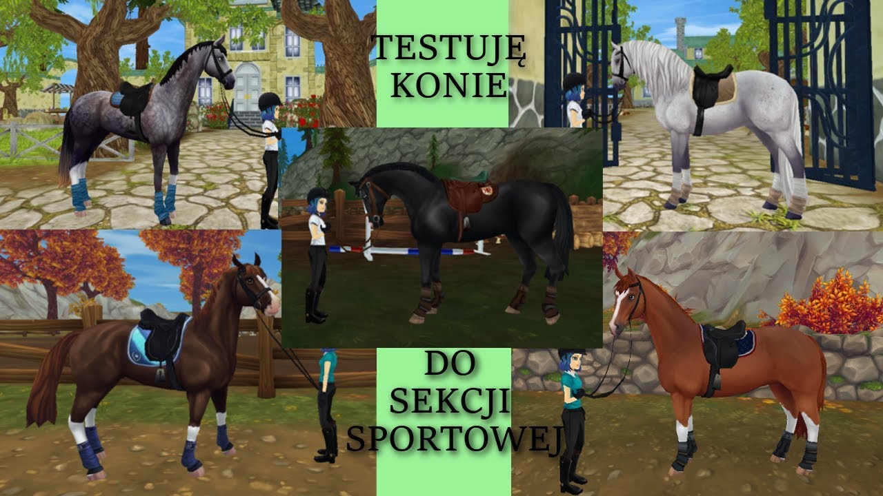 Realistyczne SSO - Testuję Nowe Konie Do Sekcji Sportowej