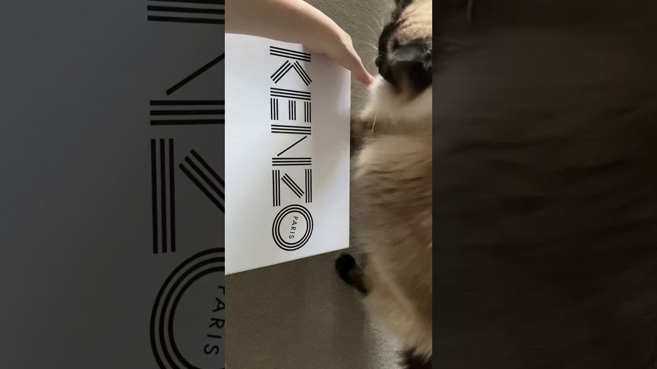 KENZO SHOES