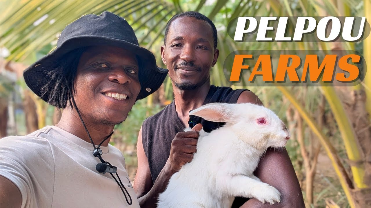 Top Rabbit Farmer in Kumasi Shares his Experience, meet PELPOU FARMS!