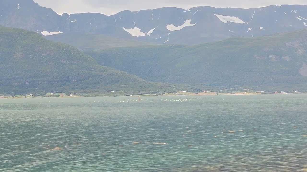 фьорд#красота #природа #лето #север #nordeste #norge #fjords #fjordnorway #storfjord#troms&oslash;