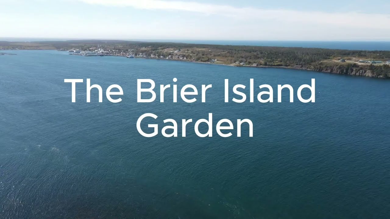The Brier Island Garden: A Grade 7 Learning Adventure | King&rsquo;s-Edgehill School