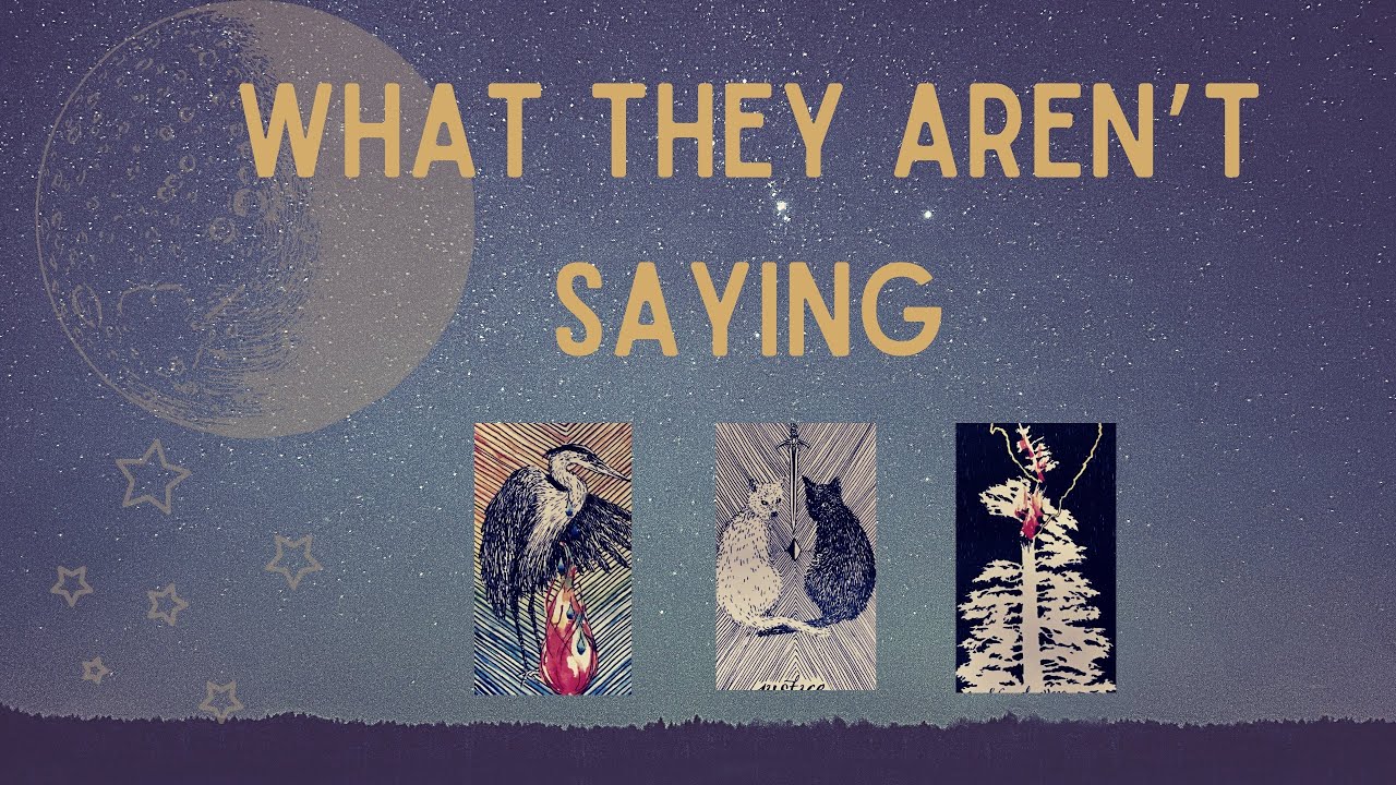 PICK A CARD: WHAT THEY AREN’T SAYING