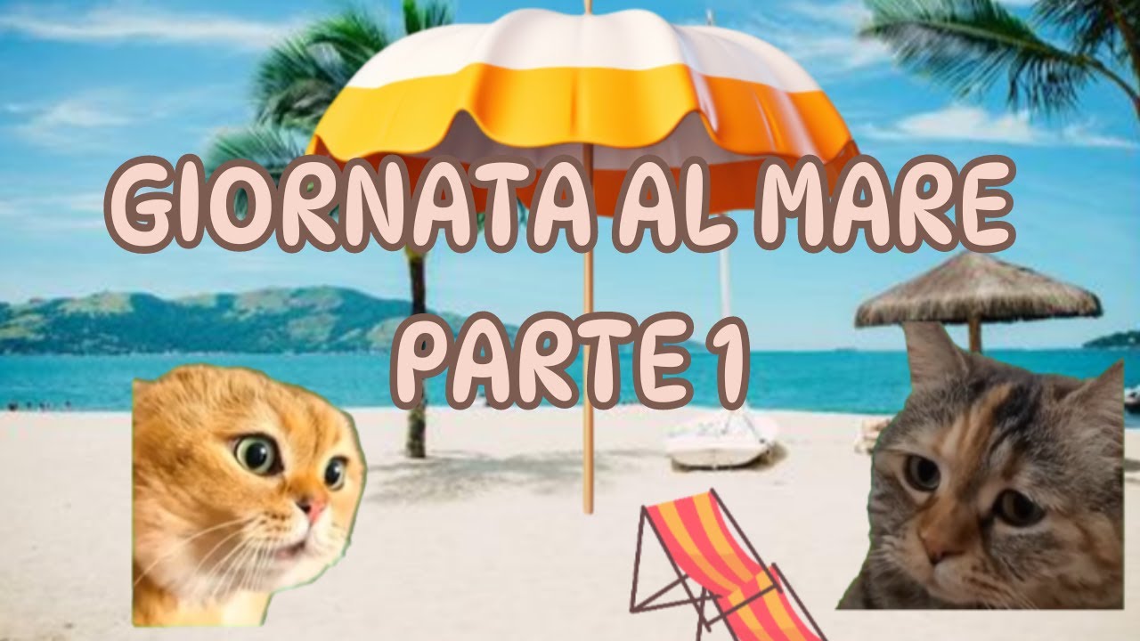 Cats funny memes ita: Giornata al mare pt.1