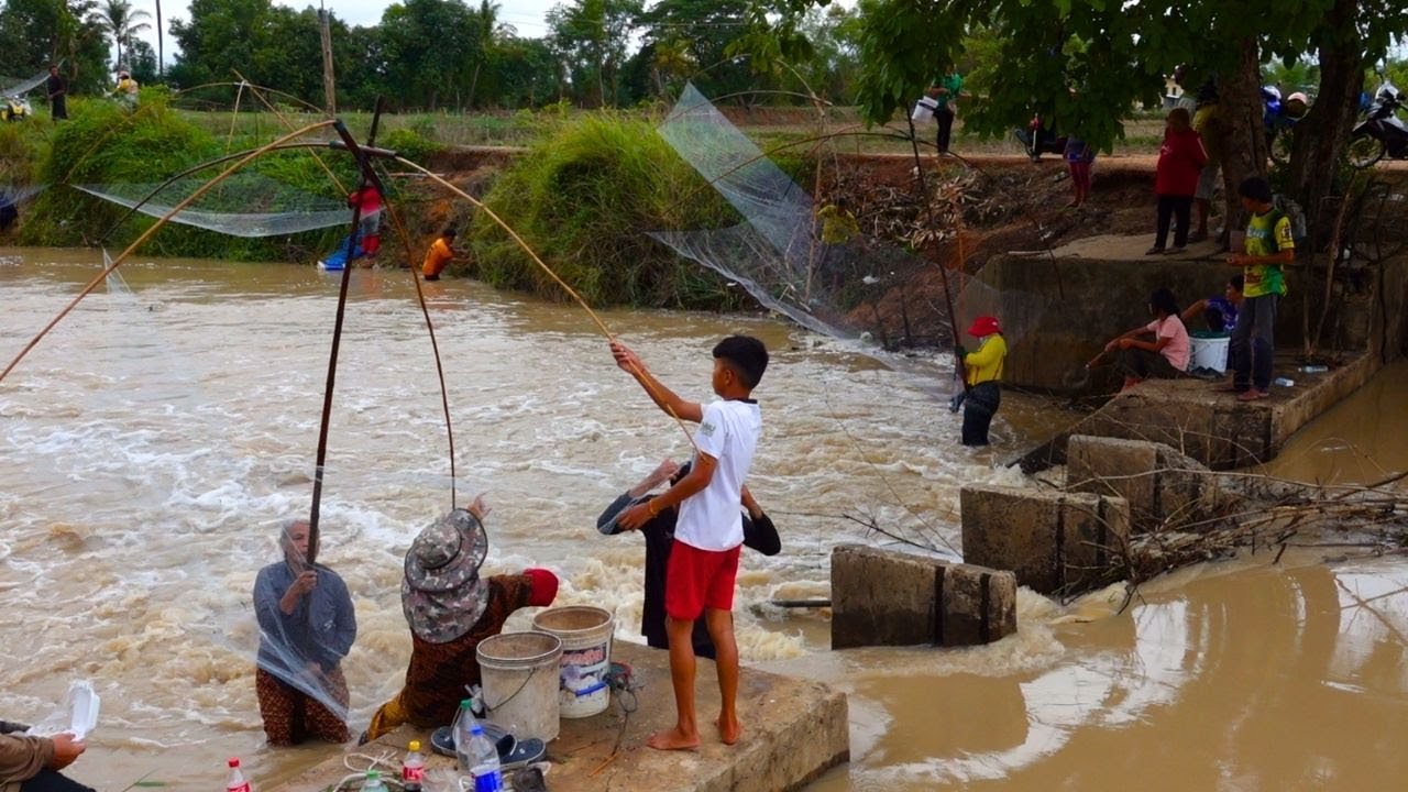 หมายนี้เด็ดมาก แต่ละทีได้ปลาเป็นกิโล ยกยอฝายน้ำล้น Unbelievable Cast Net Fishing in Thailand.