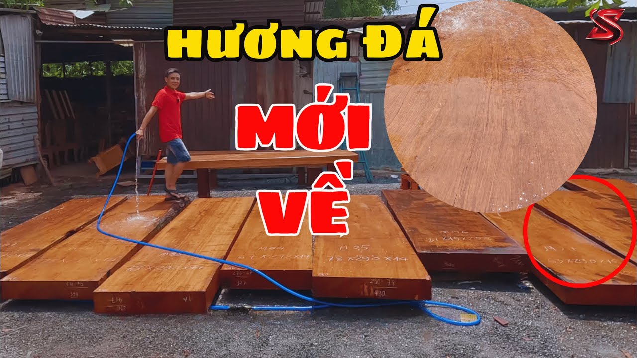 Báo giá Lô gỗ hương đá mới về nóng Hổi | Sơn Sập Gỗ