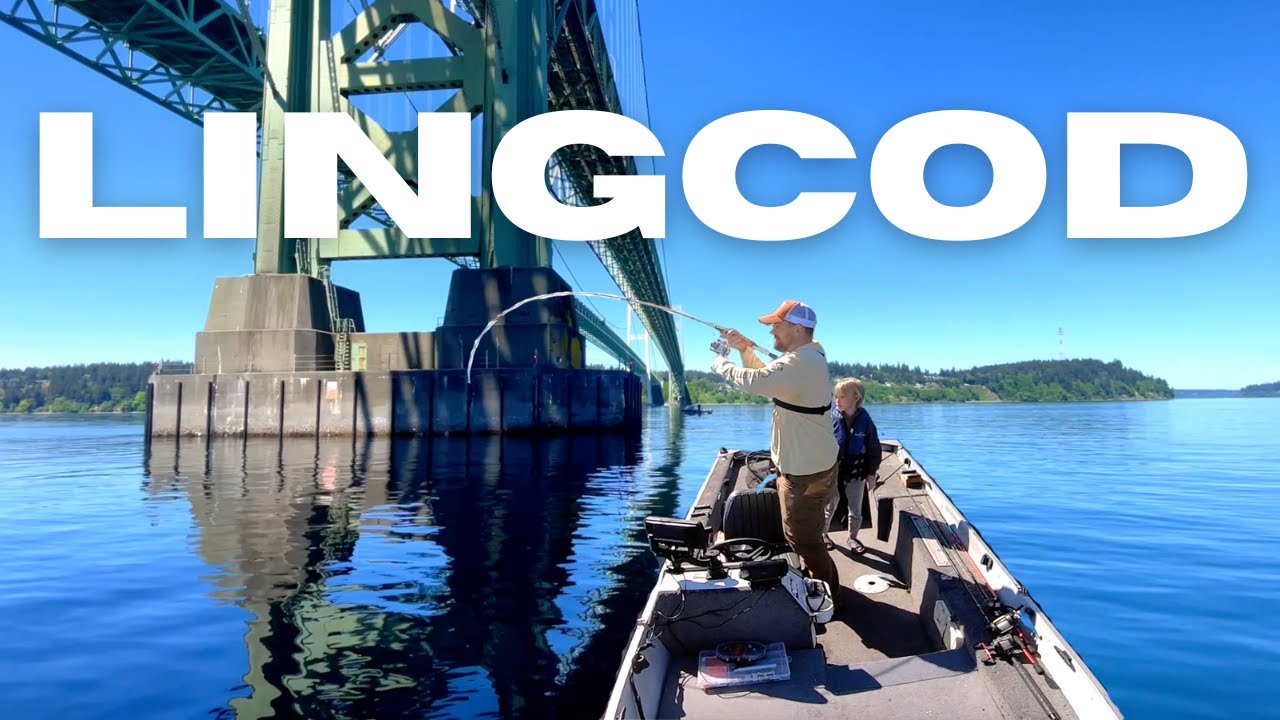 Puget Sound Lingcod ( That Was An Experience!!! )