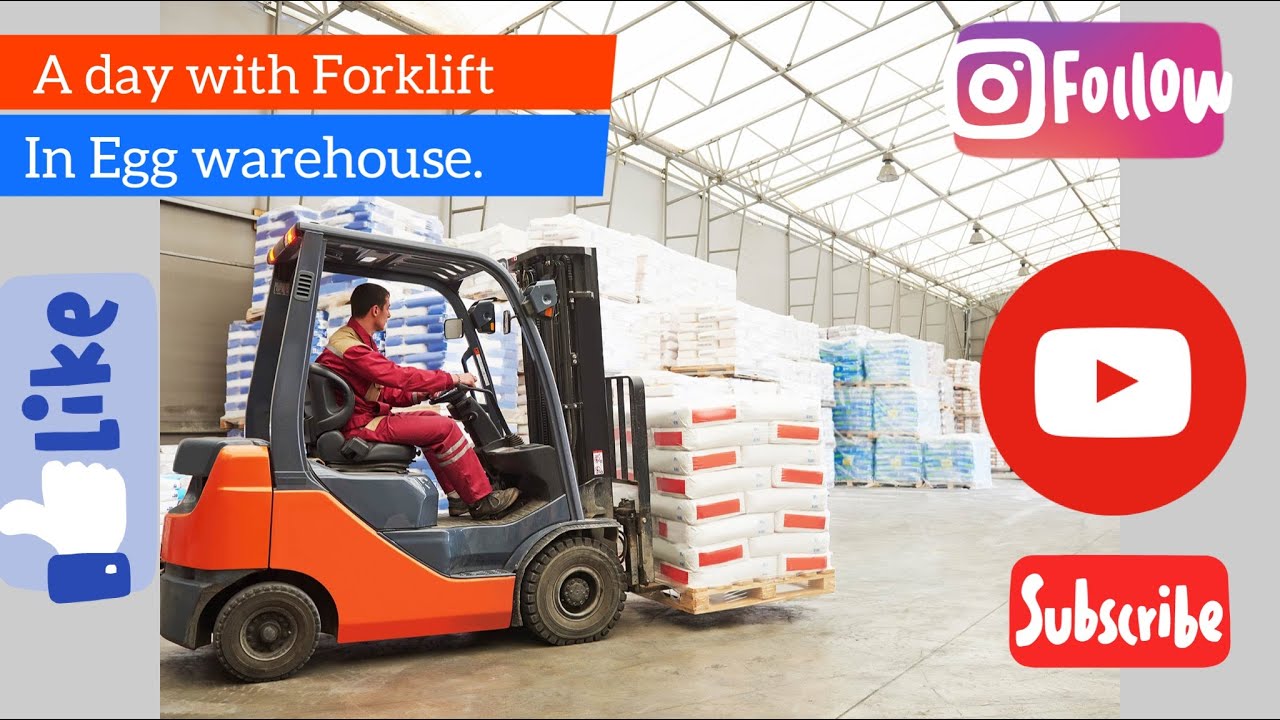 A Day With Forklift Australia, egg Warehouse | Australia Forklift Job