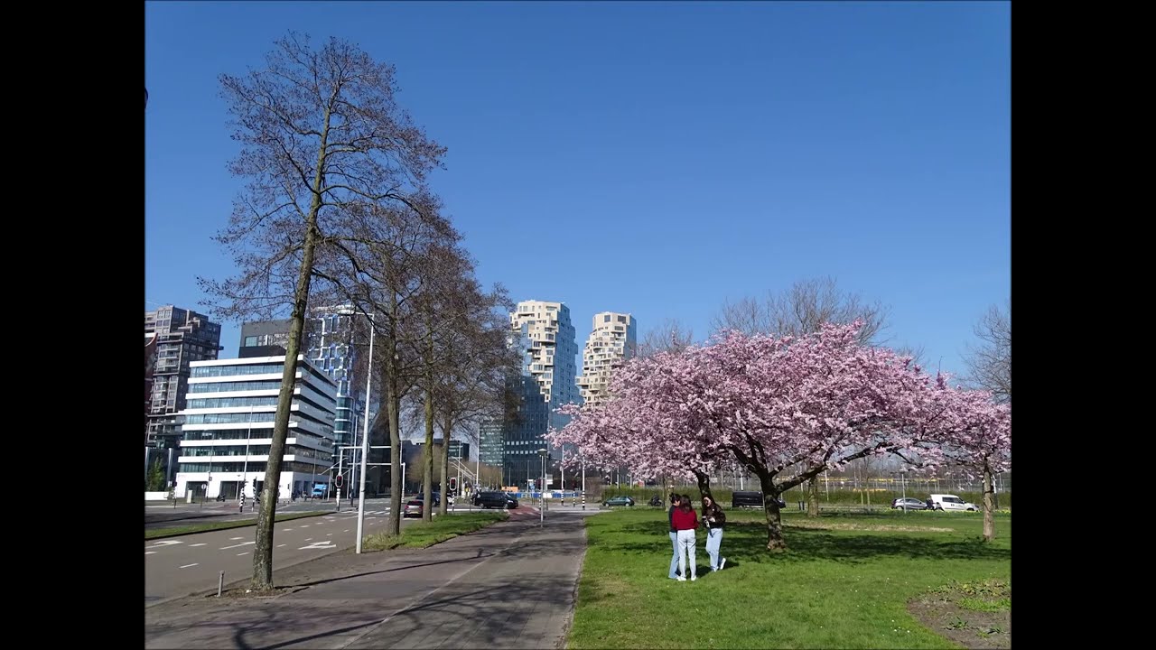 Lentekleuren in Buitenveldert - Amsterdam 21 maart 2022