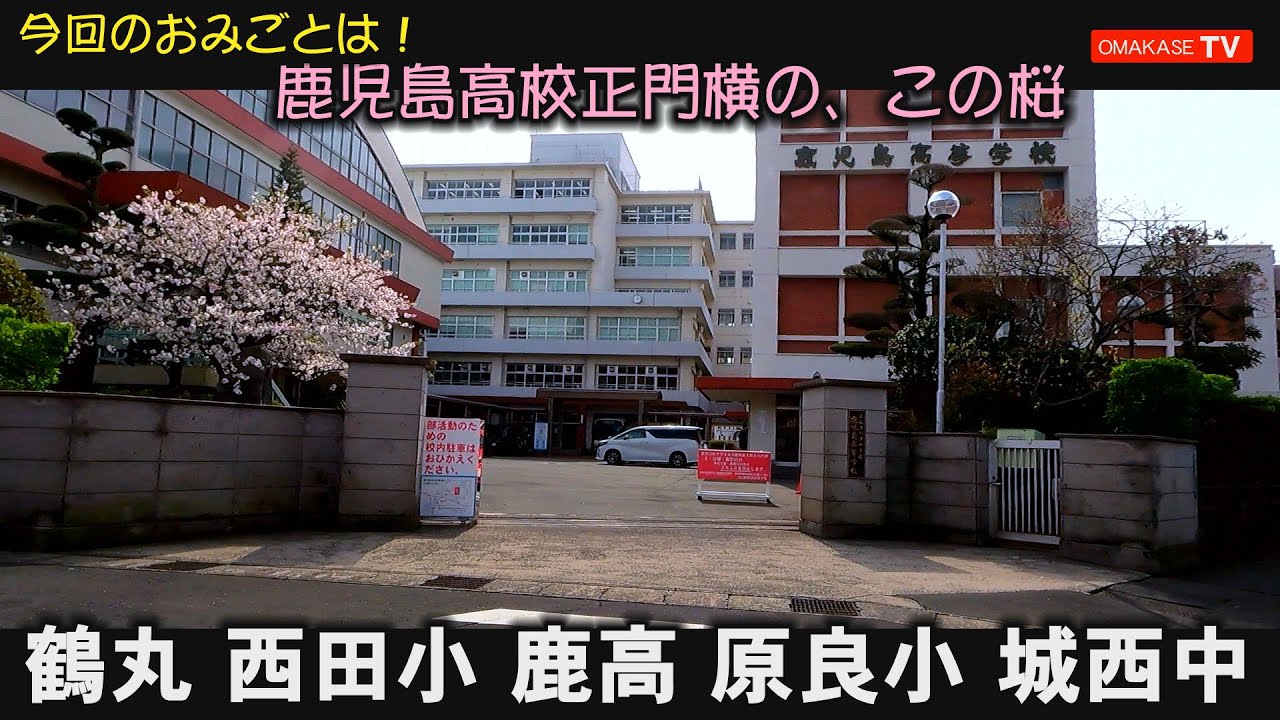 西田橋　鶴丸高校　西田小学校　鹿児島高校　原良小学校　タイヨー原良店　城西中学校　かごしま環境未来館（元鹿児島実業高校跡地）DJI Pocket2　GoPro　おまかせテレビ