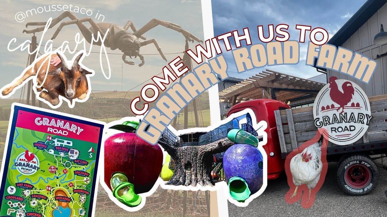 Granary Road Farm | Calgary&rsquo;s BEST Family Day Out! Explore the Petting Zoo, Giant Playgrounds in 4K