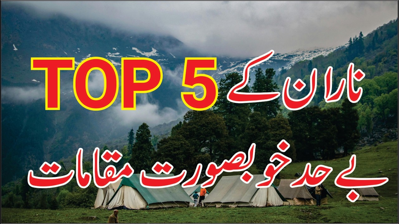 NARAN KE TOP 5 BEST TOURIST POINT || NARAN TOUR 2026 || DANI TV PK