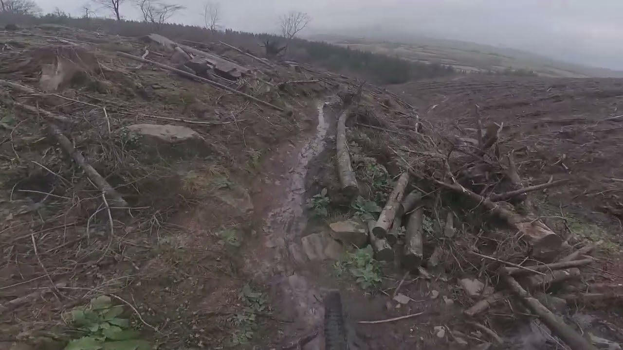 Winter Riding at its Best - Smilog Woods