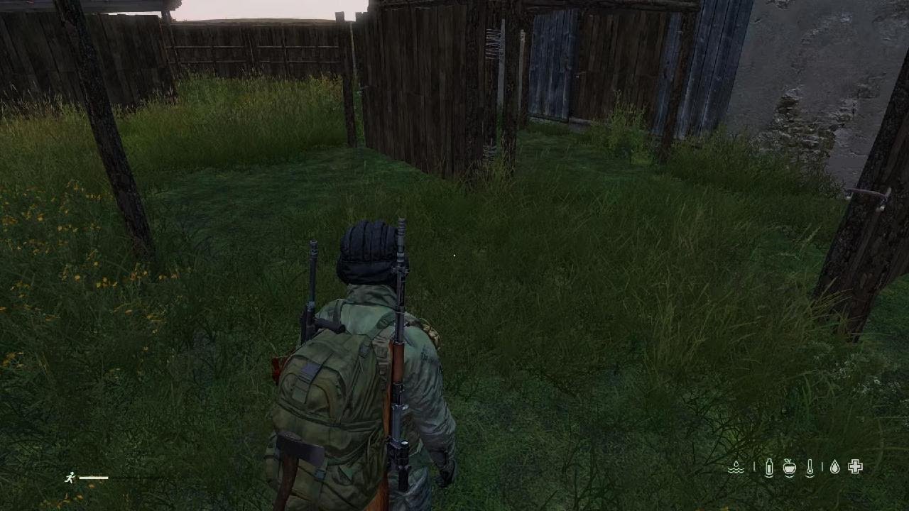 DayZ_20260204201056