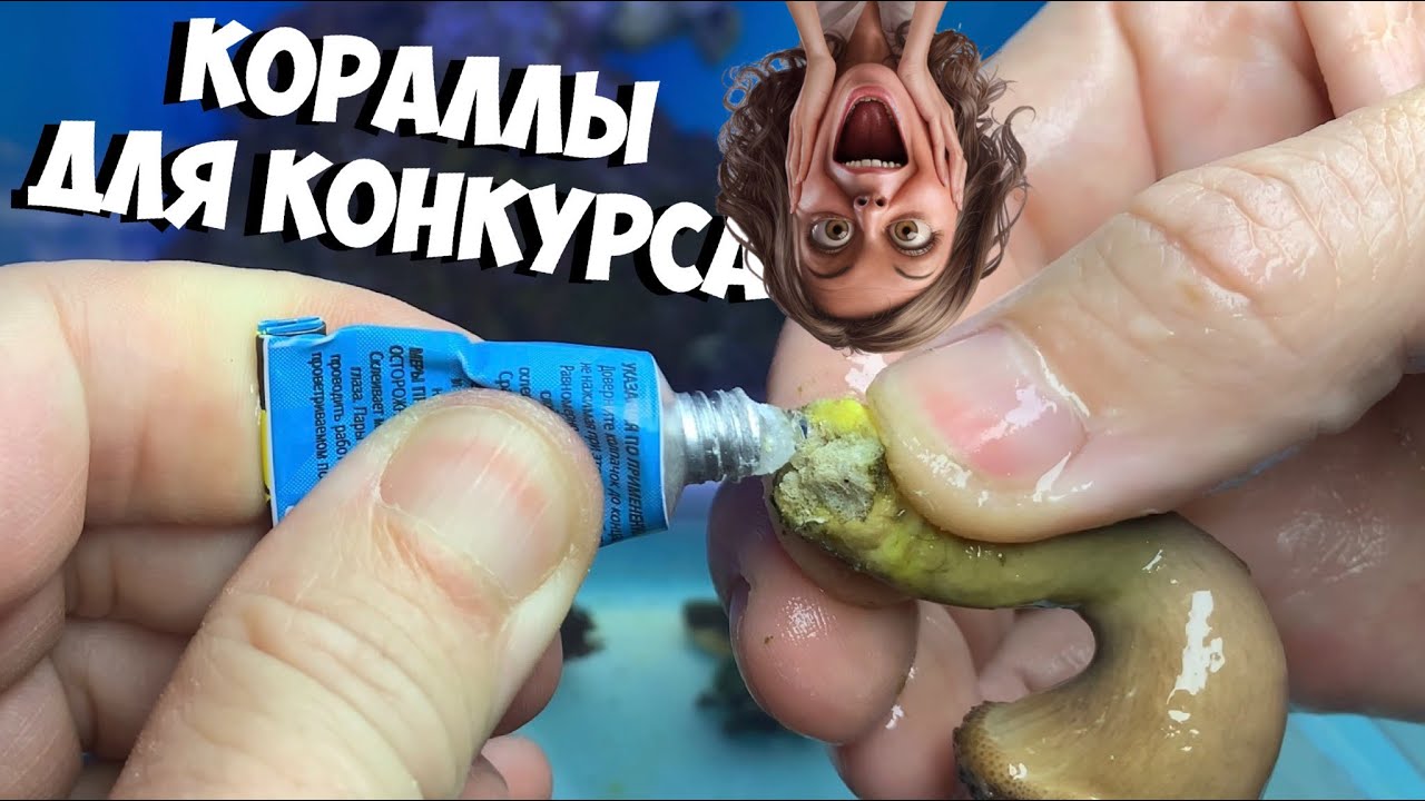 ЧАСТЬ 1 | Заселяю кораллы в морской аквариум для конкурса