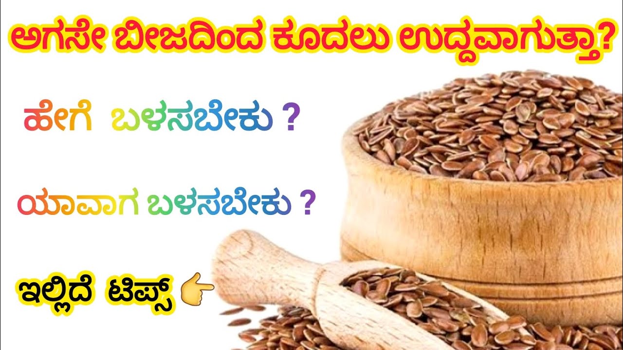ಅಗಸೇ ಬೀಜವನ್ನು ಈ ರೀತಿ ಬಳಸಿದರೆ,ಕೂದಲು ಸೊಂಪಾಗಿ ಬೆಳೆಯುತ್ತದೆ | Benifits of Flaxseed |