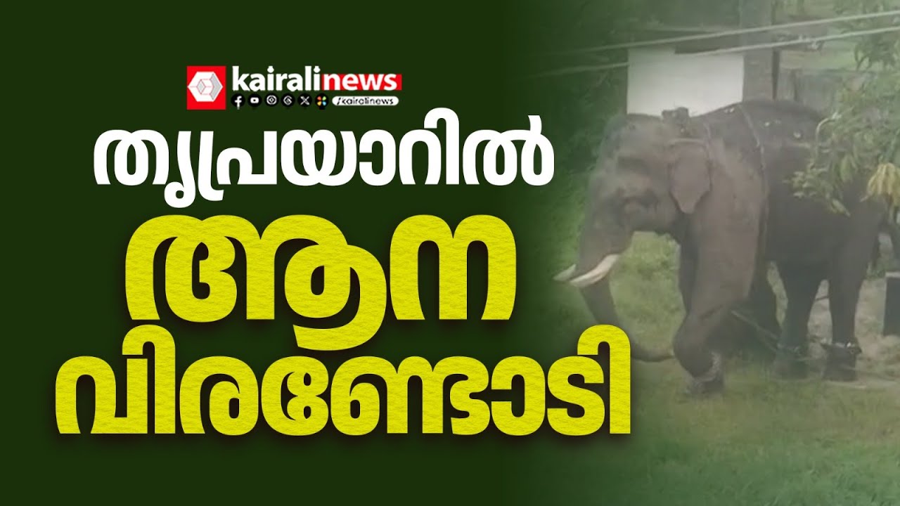 തൃശൂർ തൃപ്രയാറിൽ  ലോറിയിൽ നിന്ന്  ഇറക്കവേ ആന വിരണ്ടോടി | THRISSUR