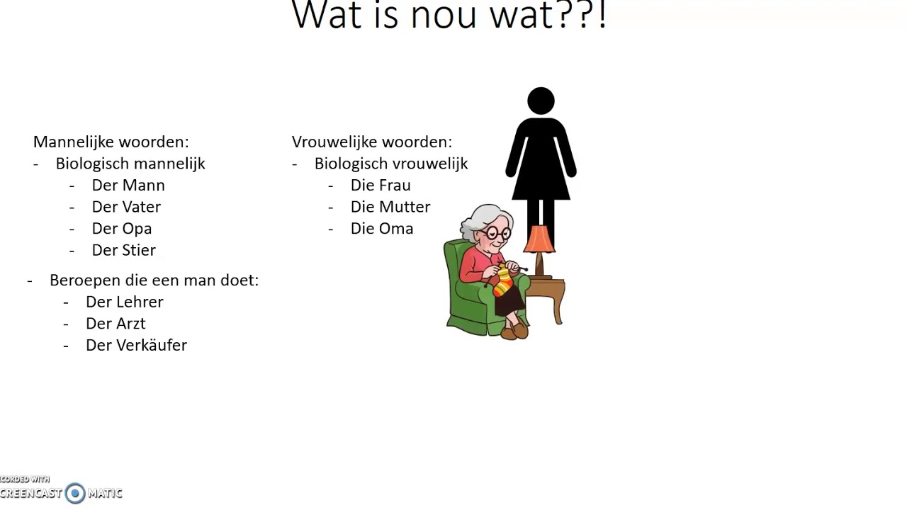 Geslacht van zelfstandige naamwoorden
