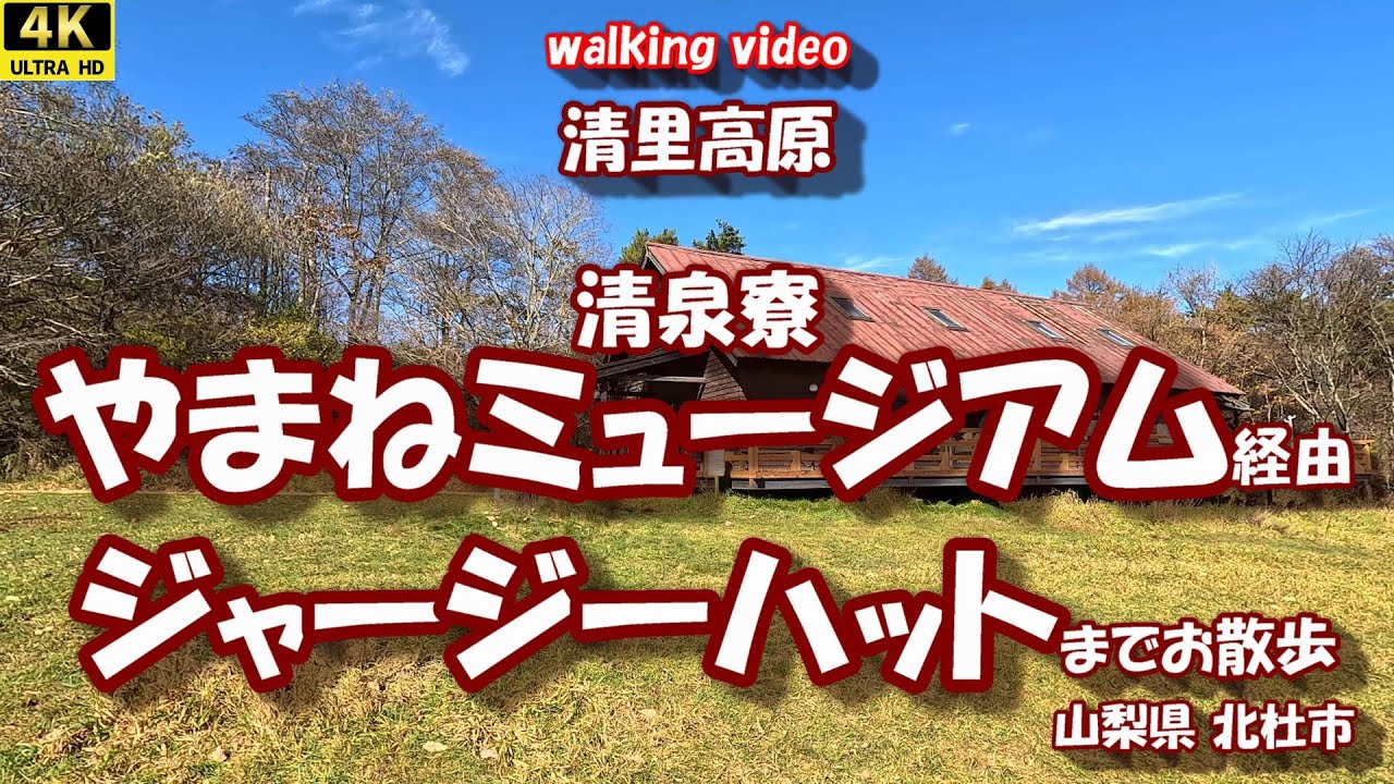 「清泉寮やまねミュージアム」 経由 「清泉寮ジャージーハット」までのお散歩 【4Kお散歩シリーズ】 清里高原 山梨県北杜市 25年11月04日