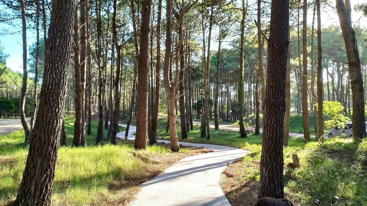 PINAMAR 2022 (ARGENTINA) CAMINO PARQUE LOS PIONEROS