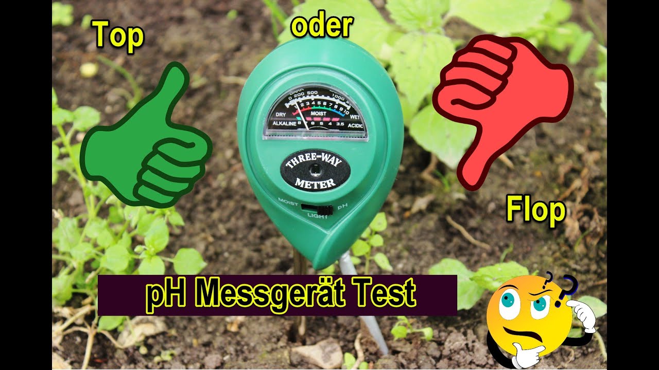 pH-Wert Messgerät im Test