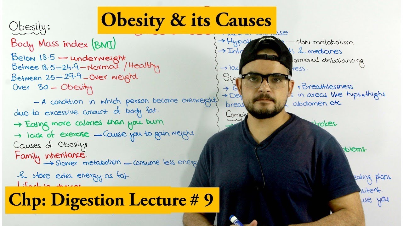 Obesity Disease | Causes Symptoms and Treatment |