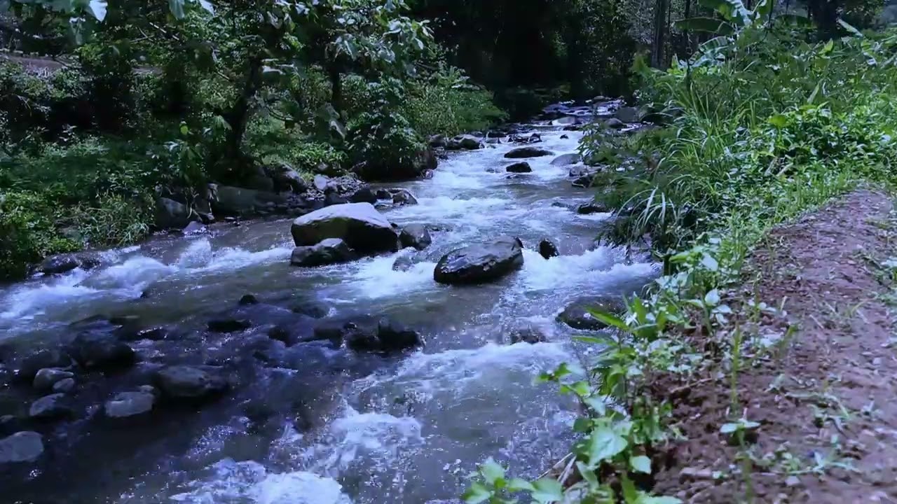 Flowing Stream Serenity for Meditation